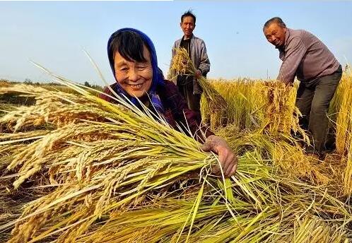 重磅！繼包產(chǎn)到戶之后，我國(guó)農(nóng)村又一次迎來重大改革